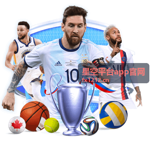 星空平台app官网 — 智能数字服务场景